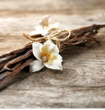 Load image into Gallery viewer, Vanilla & Sandalwood 100ml Oil
