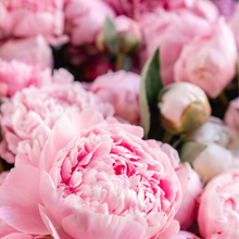 Load image into Gallery viewer, Large Glass Candle (wholesale) - Champagne Peony