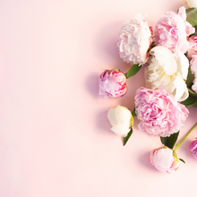 Load image into Gallery viewer, 100ml Wholesale Reed Diffuser - Bergamot and Peonies