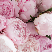 Load image into Gallery viewer, Large Glass Candle (wholesale) - Champagne Peony