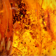 Load image into Gallery viewer, Large Glass Candle (Wholesale) - Amber Patchouli