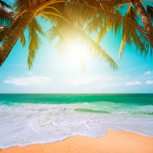Load image into Gallery viewer, Beach Soy melts