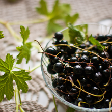 Load image into Gallery viewer, NEW Wholesale Wardrobe Scented Wax Tablets - Blackcurrant and Rose fragrance