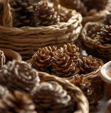 Load image into Gallery viewer, Pine Cones 1kg