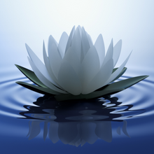 Load image into Gallery viewer, Large Glass Candle (wholesale) - White Lotus