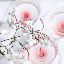 Load image into Gallery viewer, Blooms 15ml Diffuser Wholesale Oil
