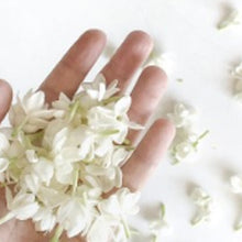 Load image into Gallery viewer, Blooms 15ml Diffuser Wholesale Oil