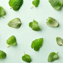 Load image into Gallery viewer, Memory and Focus Peppermint & Rosemary 100ml Oil (wholesale) (As low as $18.95)-Angel Aromatics