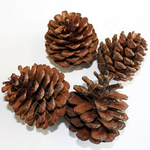 Load image into Gallery viewer, Pine Cones 1kg
