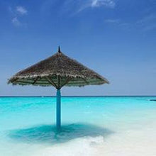Load image into Gallery viewer, Beach 15ml Oil (wholesale)-Wholesale-Angel Aromatics