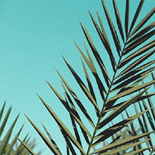 Load image into Gallery viewer, Zodiac Water Perfume 50ml