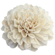 Load image into Gallery viewer, *Dahlia - click for more colours (wholesale)-Wholesale Flowers-Angel Aromatics