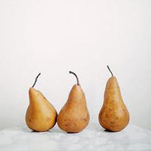 Load image into Gallery viewer, 100ml Diffuser Set (wholesale) - Parisian Pear-Diffusers-Angel Aromatics