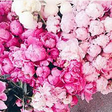 Load image into Gallery viewer, Be Mine Valentine's Candle 180g