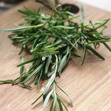 Load image into Gallery viewer, Memory and Focus Peppermint & Rosemary 100ml Oil (wholesale) (As low as $18.95)-Angel Aromatics
