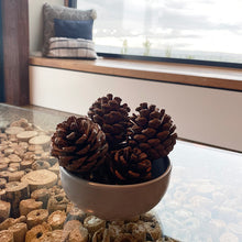 Load image into Gallery viewer, Pine Cones 1kg
