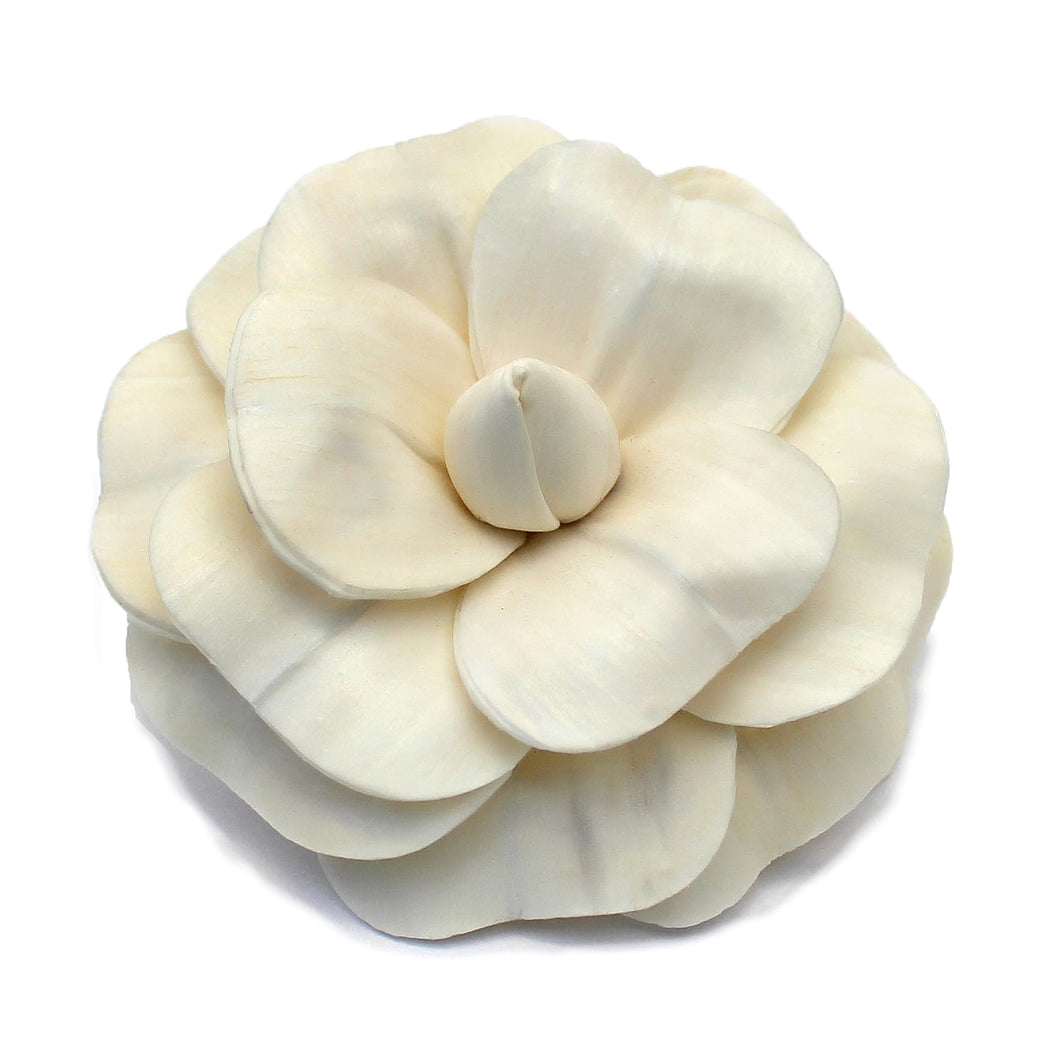 *Small Camellia - click for more colours (wholesale)-Wholesale Flowers-Angel Aromatics