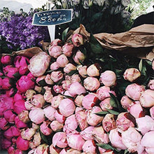 Load image into Gallery viewer, Bergamot and Peonies Soy Melts
